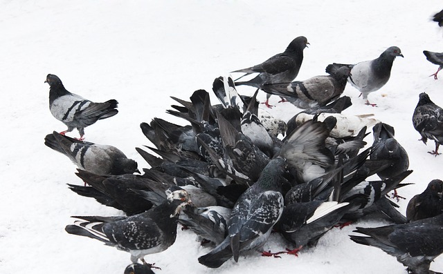 反馈