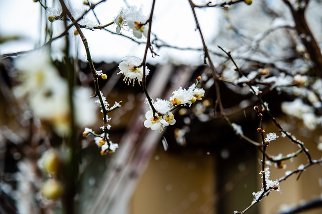 激励冰雪项