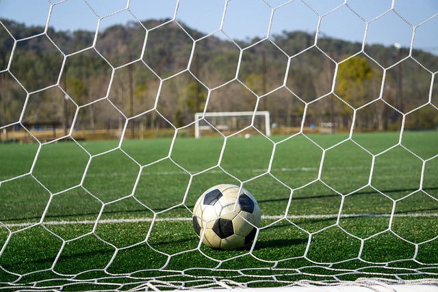 似乎说明中 似乎说明中