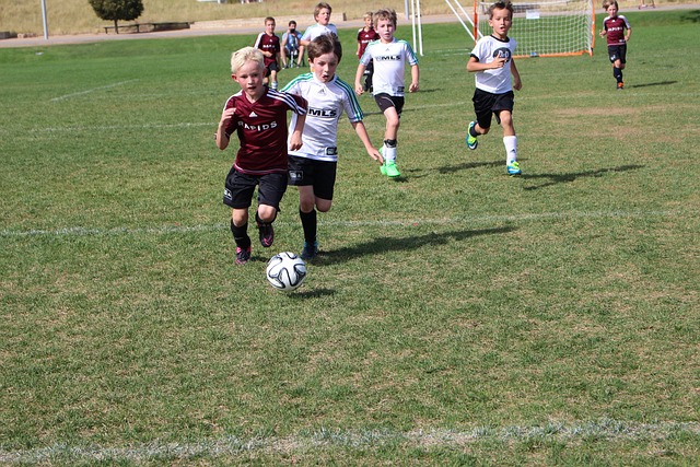 心理素质的 心理素质的