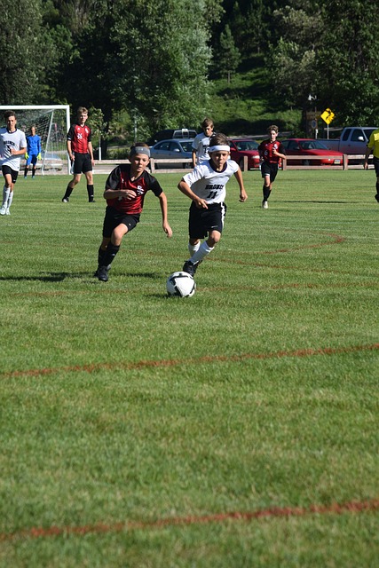 让尼克斯防 让尼克斯防