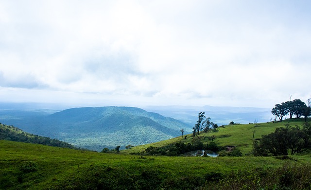 博弈结果 博弈结果