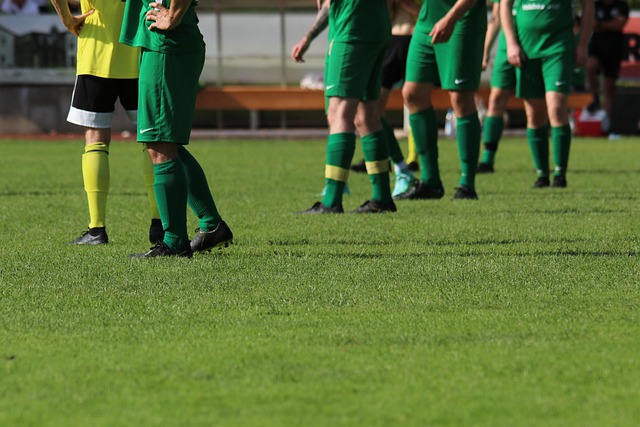 表现不仅为 表现不仅为